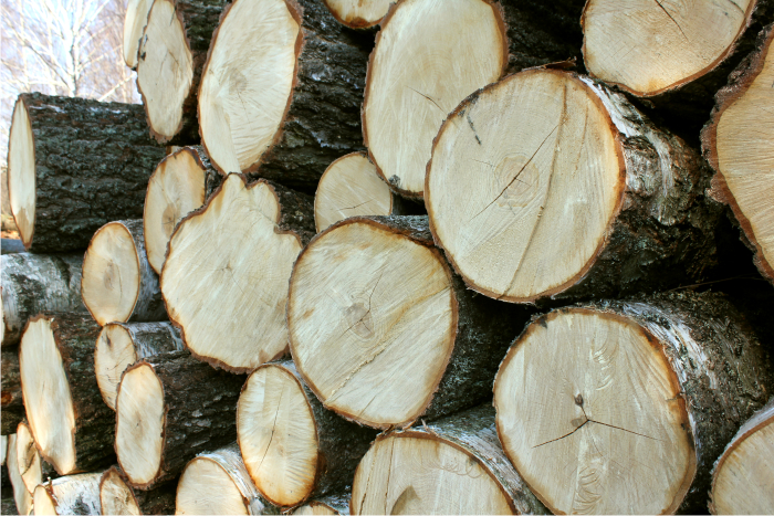 We buy timber of deciduous and conifer trees and finishing of pallets.